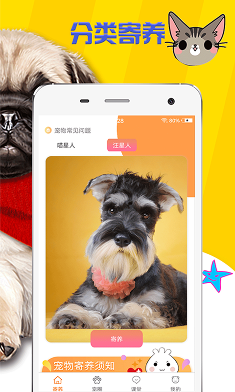 喜财猫图1