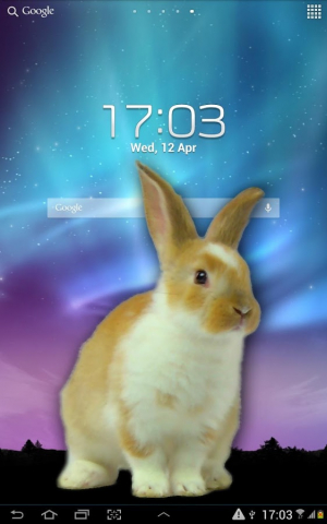 bunnyinphone安卓版下载