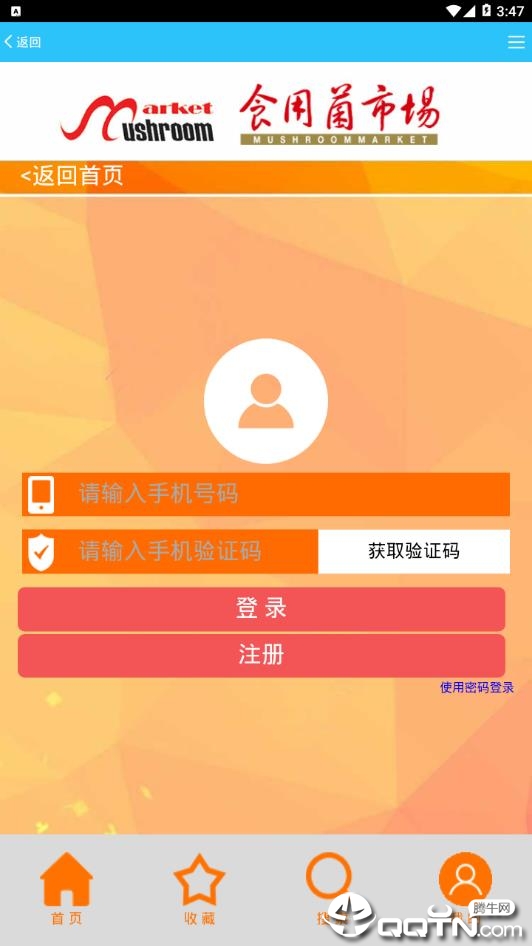 食用菌市场图1