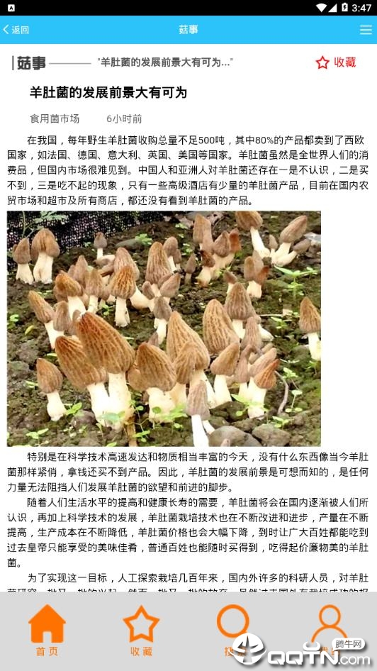 食用菌市场图4