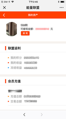 能量联盟图4