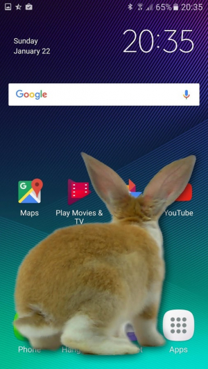 bunnyinphone安卓版下载图2