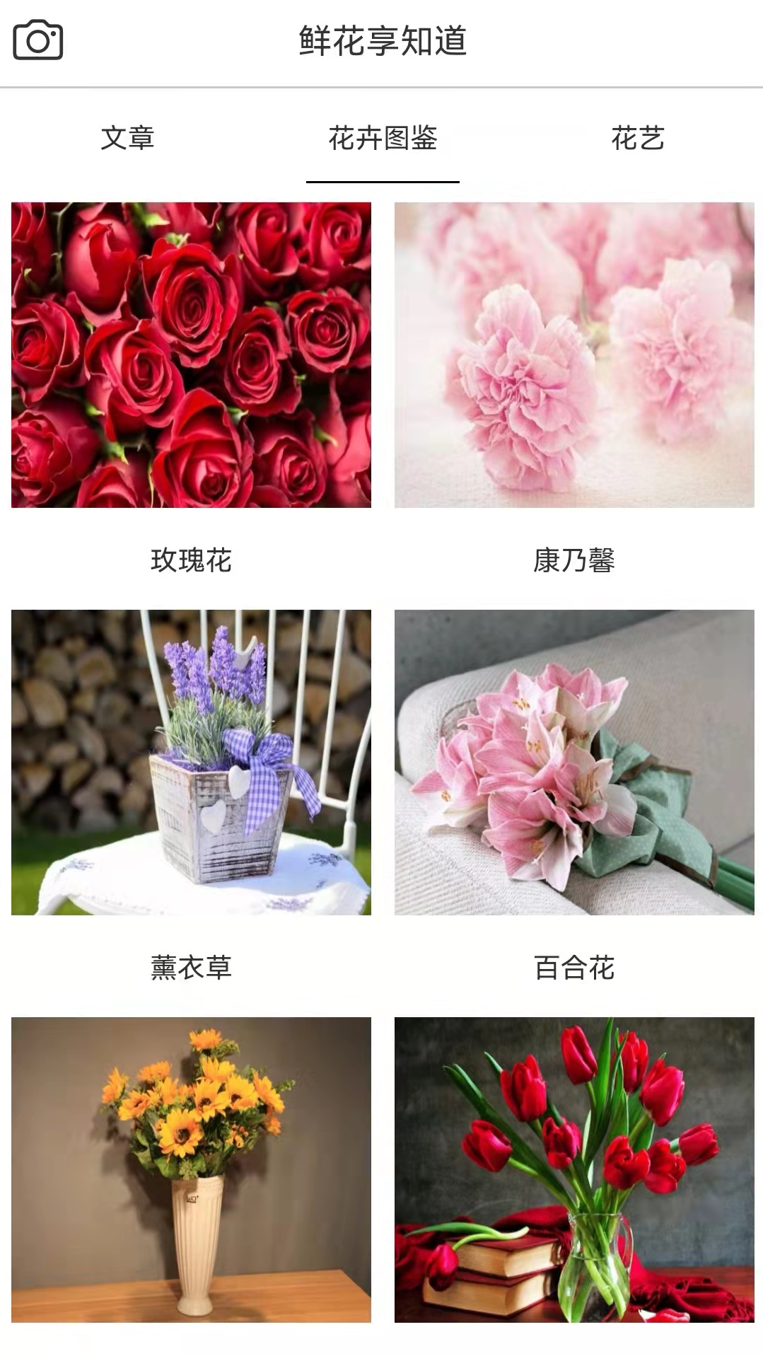 鲜花助力物理 鲜花助力物理