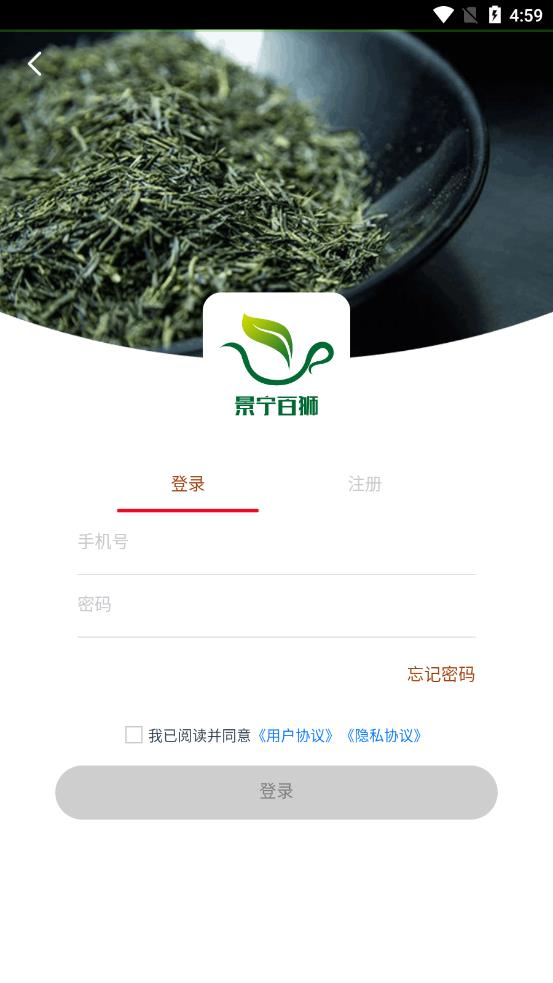 景宁百狮图4