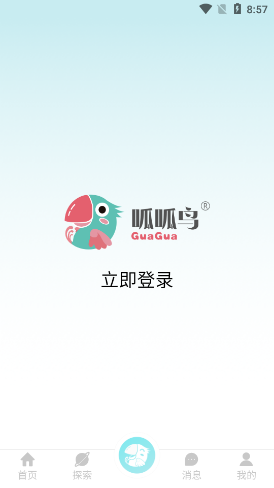 呱呱鸟图2