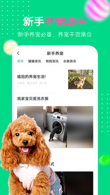 爱宠圈图3
