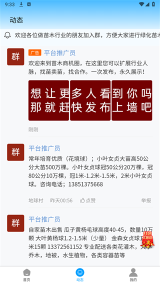 找苗木图2