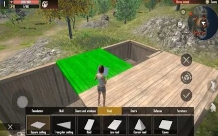 Project: Island