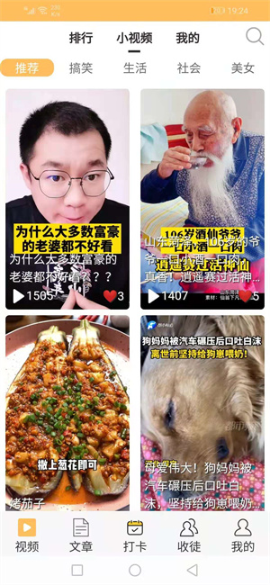 珍猪网图1