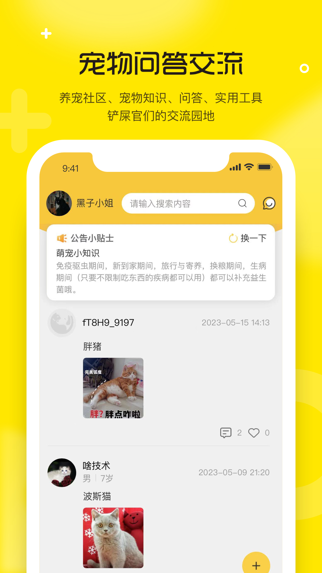 宠宝图4