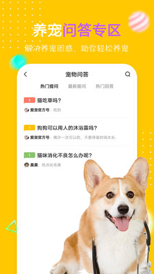 爱宠圈图4