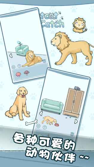 天天躲猫猫图3