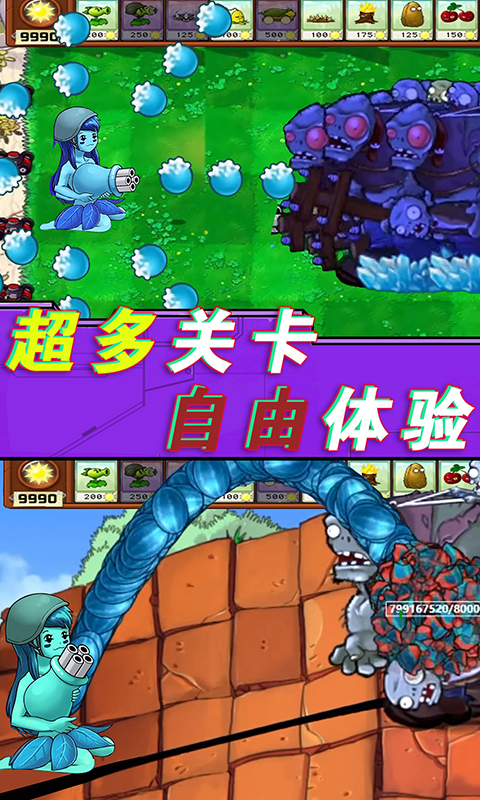 植物僵尸总动员图3