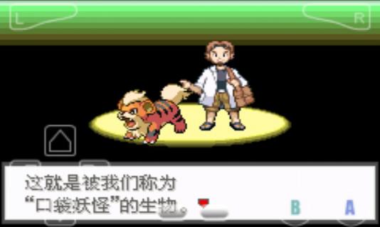 口袋妖怪极光石 口袋妖怪极光石