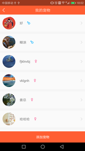 宠物保姆图3
