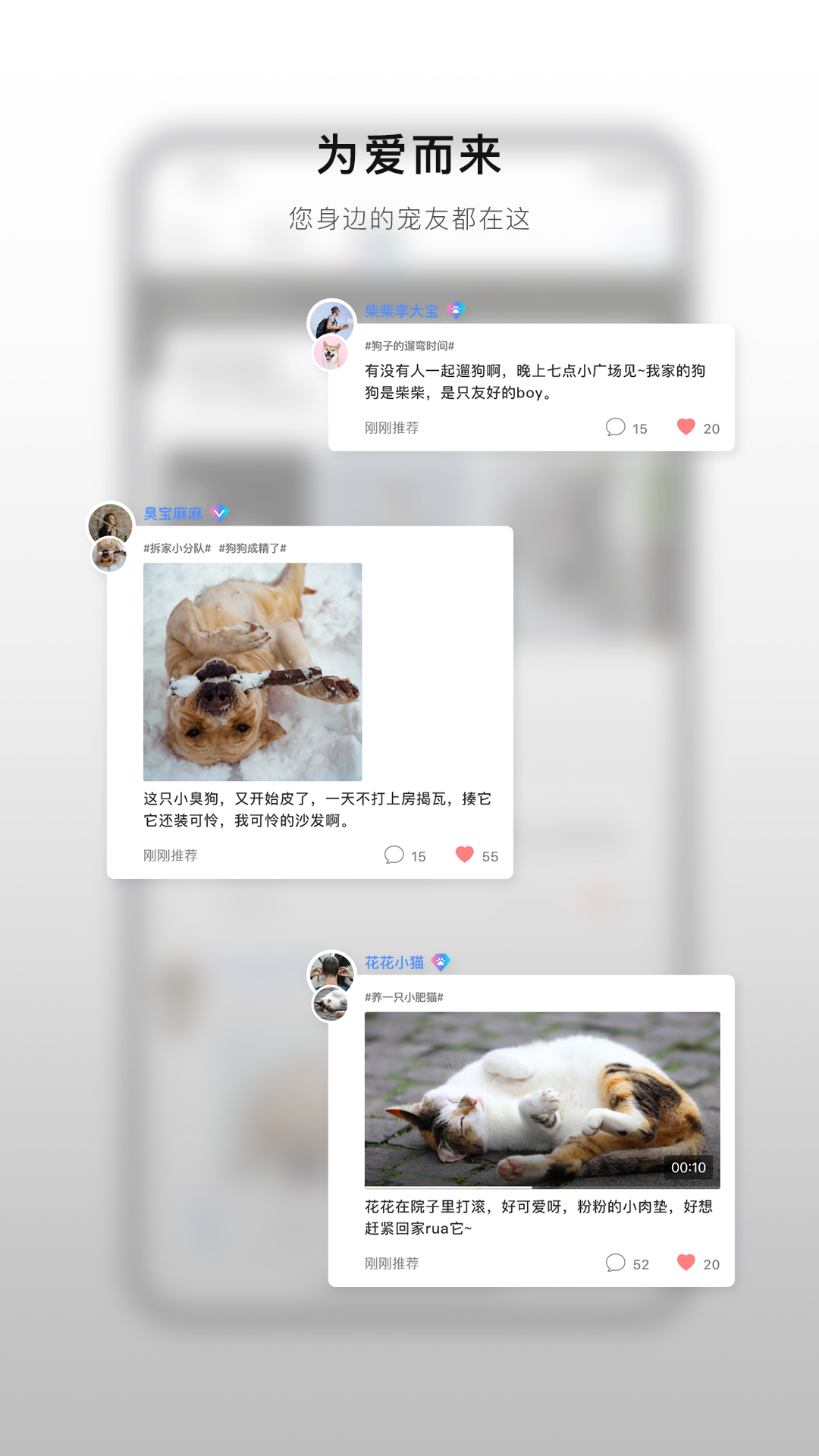小它商家 小它商家