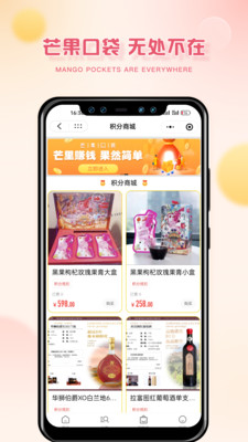 芒果口袋图2