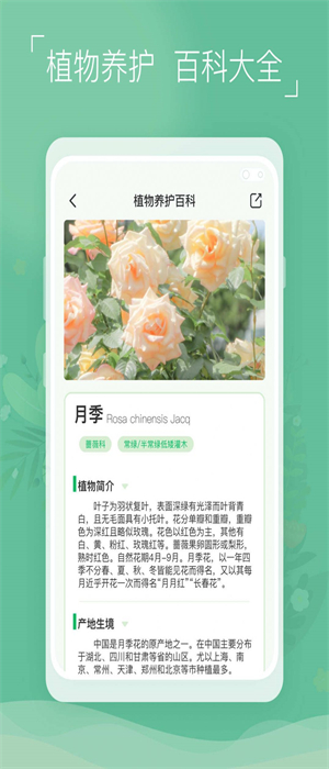 植物识别宝 植物识别宝