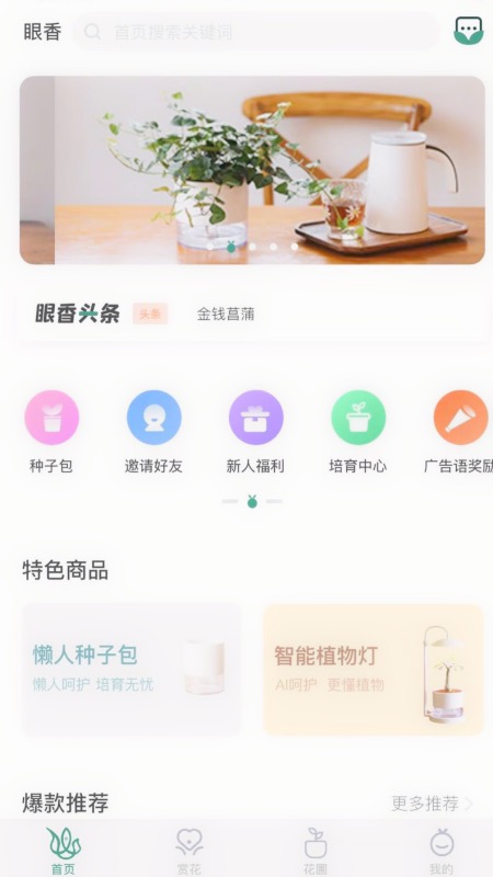 眼香图4
