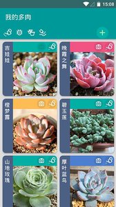 多肉成长记图2