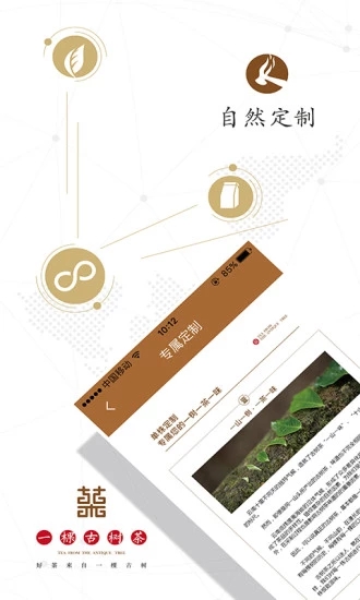 一棵古树茶图1