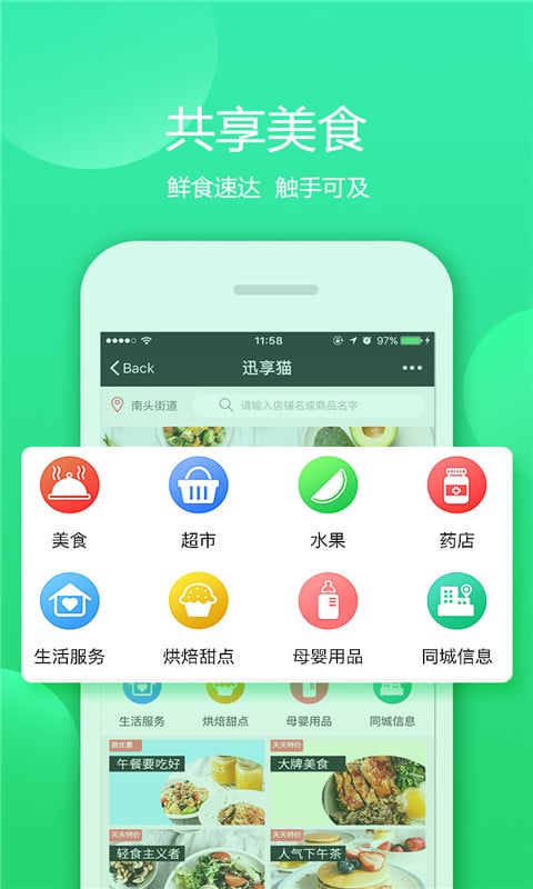 迅享猫图1