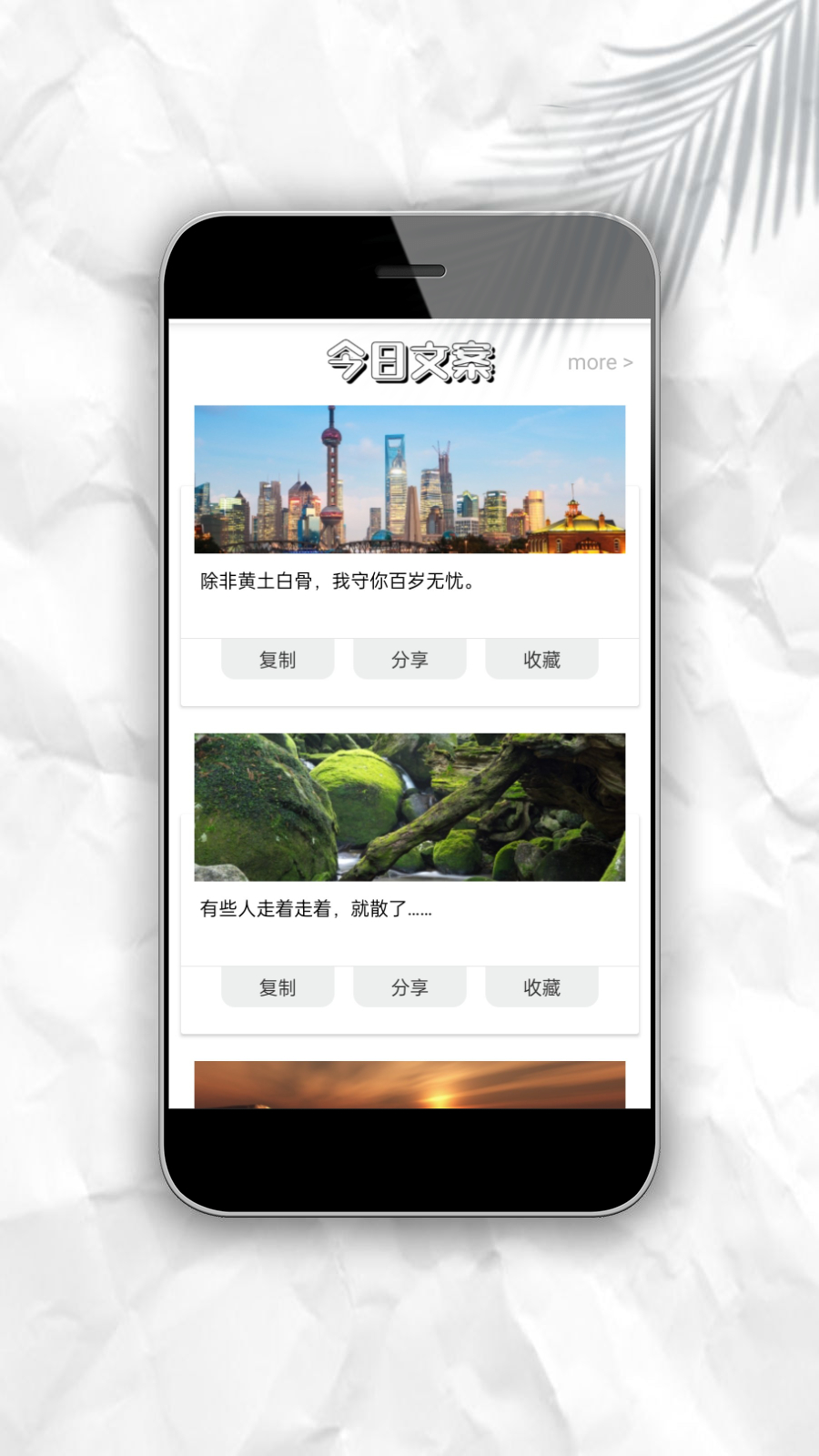 文案猫图2