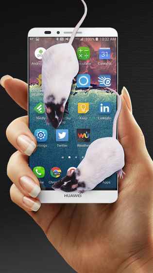 mouse in hand大鼠在屏幕上软件下载图1