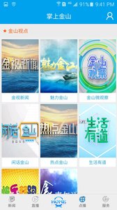 掌上金山图4