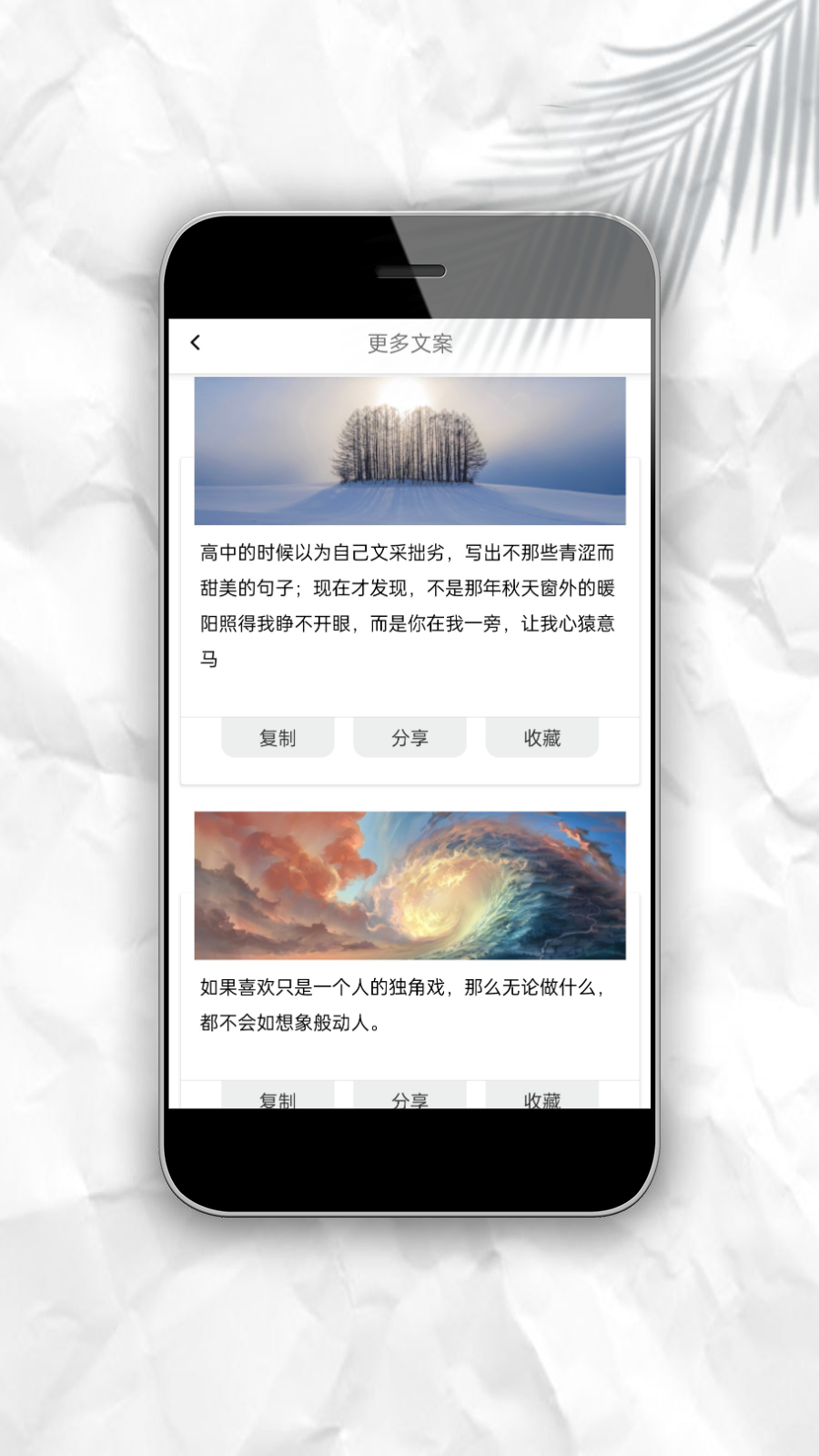 文案猫图4