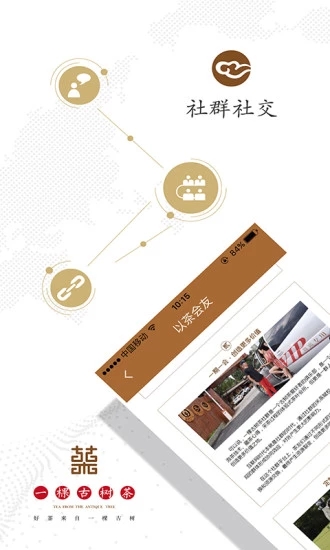 一棵古树茶图3