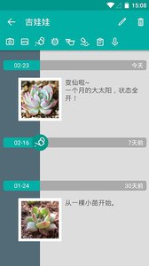 多肉成长记图3