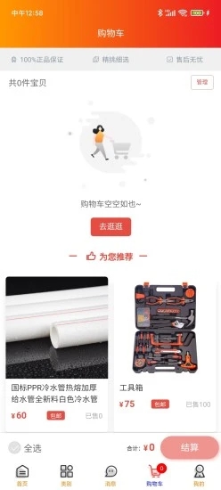 齐加加图3