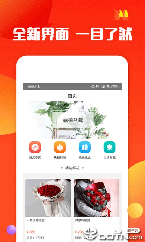 易朵花图4