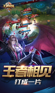 蛋精选