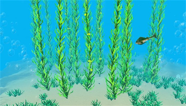 水下生存：深潜图2