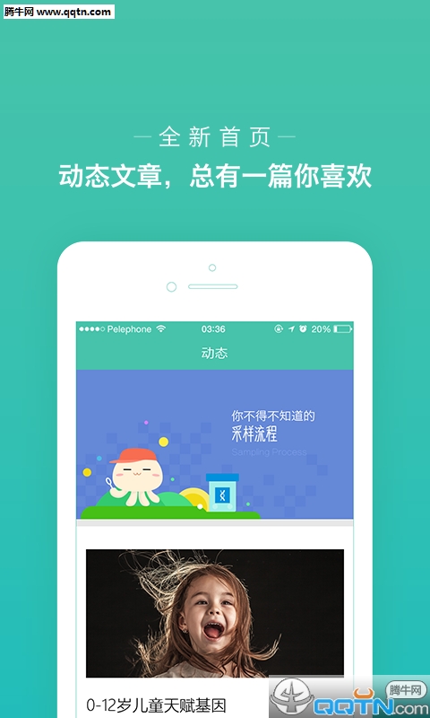 水母图1