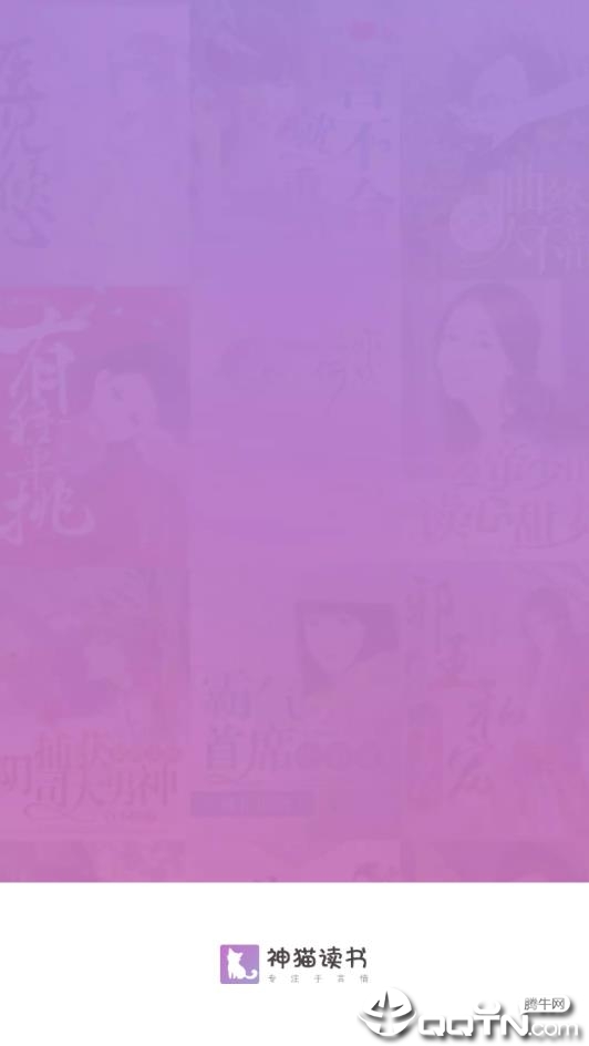 神猫读书图1
