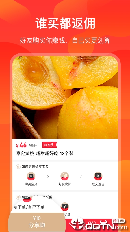 海豚零食图1