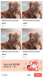 校狐图4