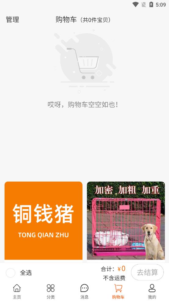 铜钱猪图1