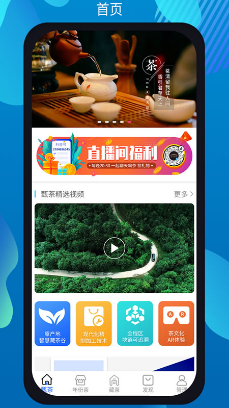 甄茶