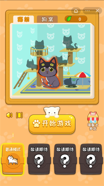 猫咪宿舍 猫咪宿舍