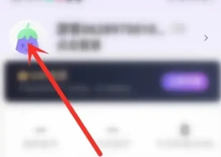 茄子免费小说图5