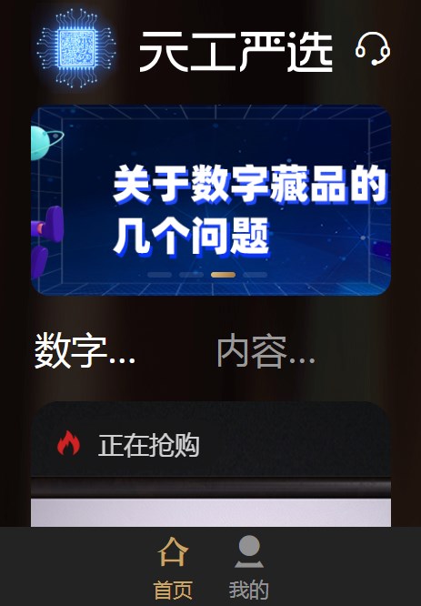 天工严选数藏图3