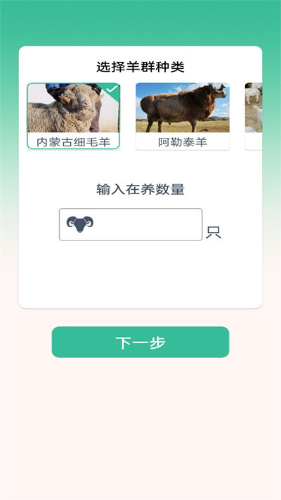 葡萄牙语翻译