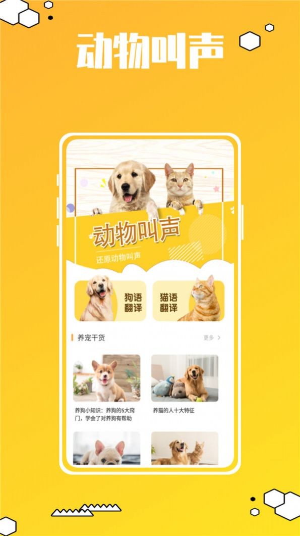 动物叫声翻译器鸭图2