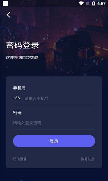 口袋数藏图1
