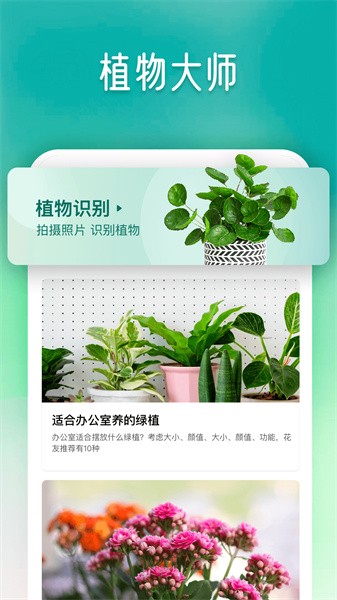 植物大师图2