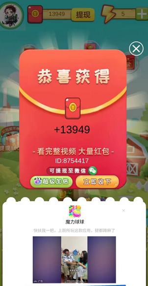 永久发财树 永久发财树